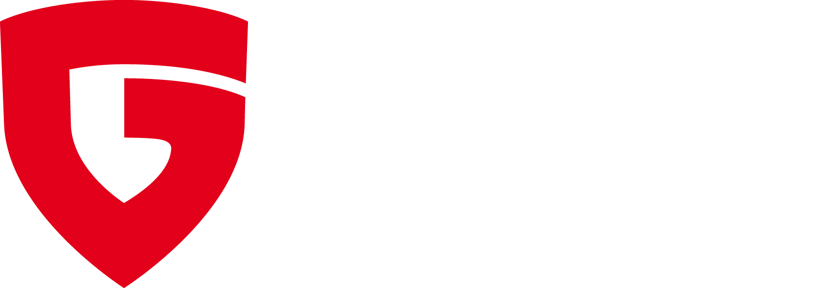 G DATA